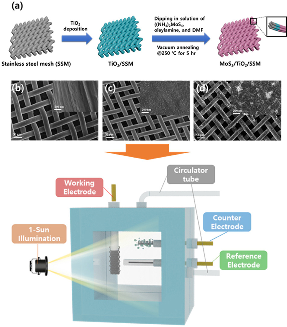 MoS2/TiO2 photoanodes on porous stainless steel mesh