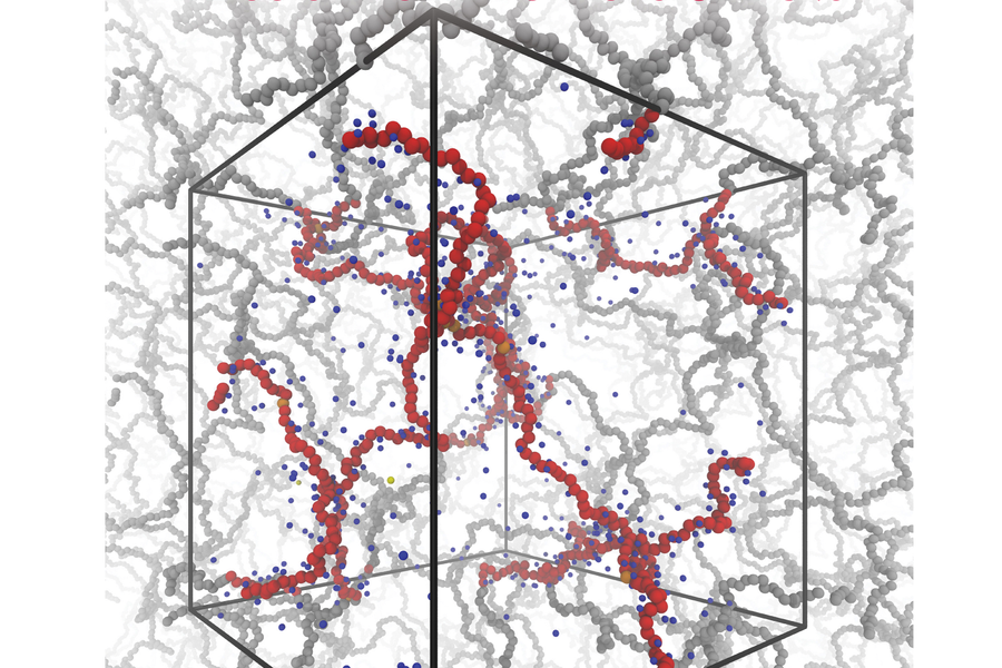 Modelování polyelektrolytů
