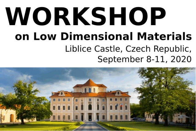 Workshop on Low Dimensional Materials