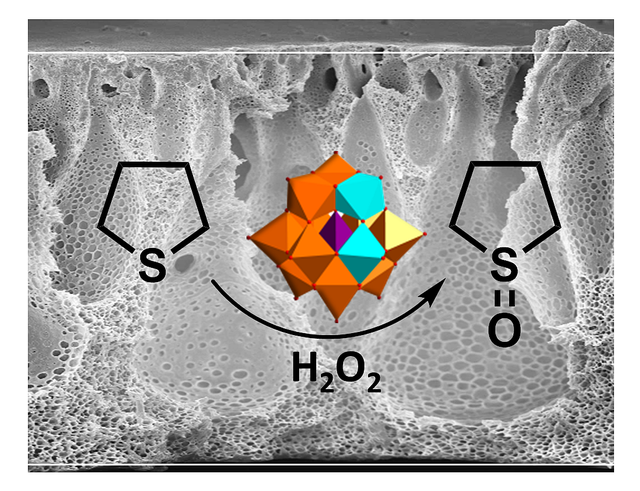 Charge control in polymeric materials --- from reversible adsorption to catalytically active block copolymer membranes