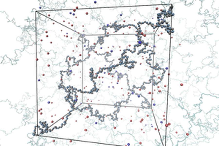 Simulace polyelektrolytů