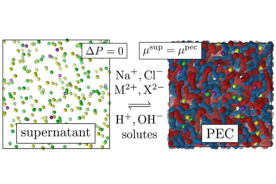 Polyelektrolytové komplexy a koacerváty.